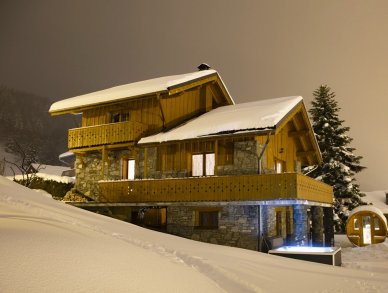Chalet Lagopede Meribel