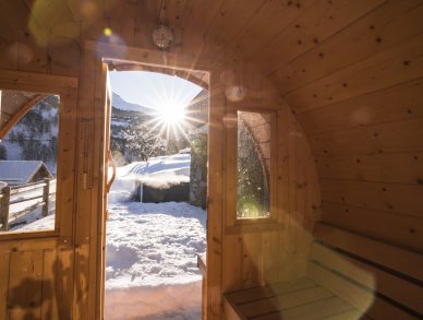 Chalet Lagopede Meribel