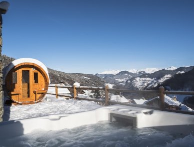Chalet Lagopede Meribel