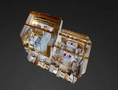 Chalet Lagopede Meribel