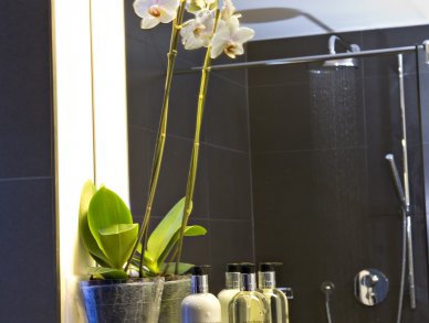 Penthouse Altesse Zermatt