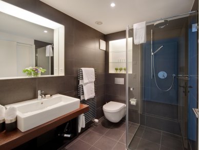 Appartement Altesse 1 Zermatt