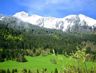 Шале Cannelle Шатель