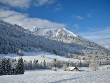 Шале Cannelle Шатель