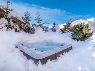 Шале Zebra Мерибель