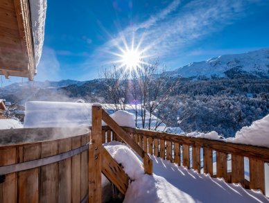 Шале Little Zebra Мерибель