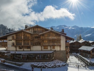 Apartment La Vallee Blanche Verbier