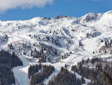 Шале Le Yeti Мерибель