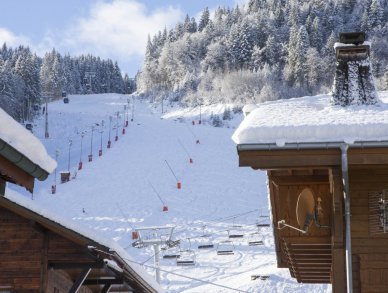 Chalet Carving Morzine