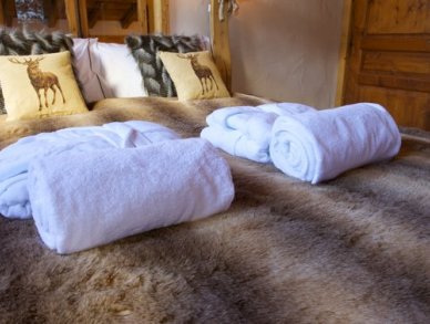 Шале Sante Шамони Аржантьер