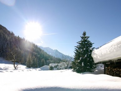 Шале Sante Шамони Аржантьер