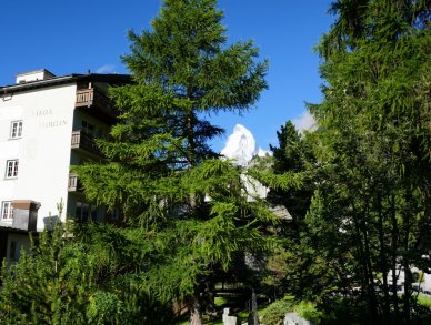 Appartement Vieux Moulin Garden Zermatt
