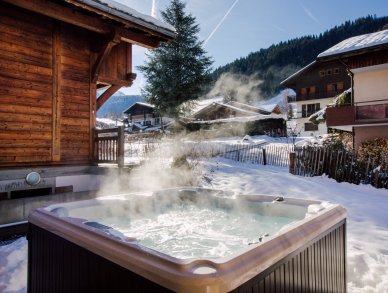 Шале Petit Central Морзин