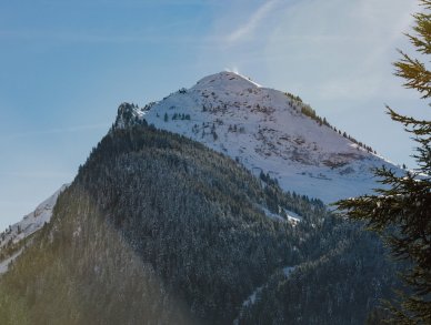 Шале Petit Central Морзин