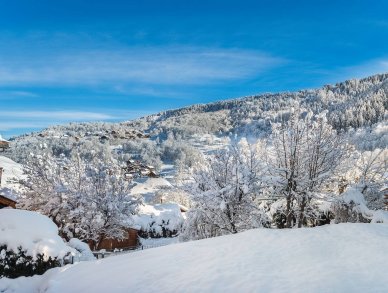 Chalet Tanniere des Ours Meribel