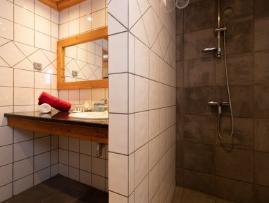 Шале Panoramique Тинь Ле Бревьер