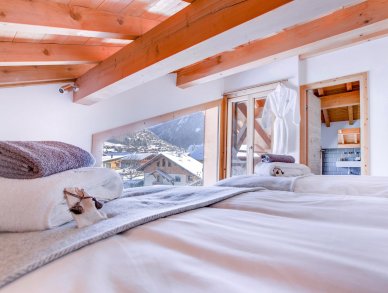 Шале Les Trois Bonheurs Морзин