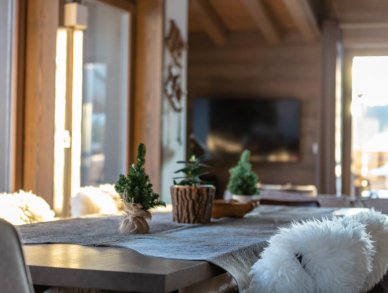 Penthouse Annapurna A301 Les Gets