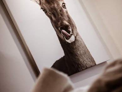  Annapurna B301 Les Gets