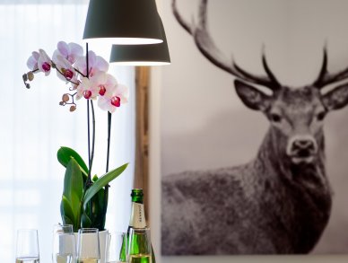 Apartment Annapurna B203 Les Gets