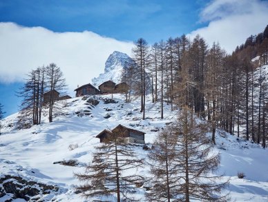 Apartment Idyll Zermatt