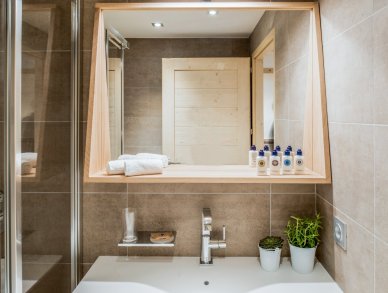 Апартаменты Mammoth Lodge D03 Куршевель 1650