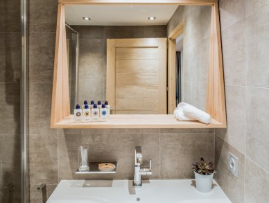 Апартаменты Mammoth Lodge D03 Куршевель 1650