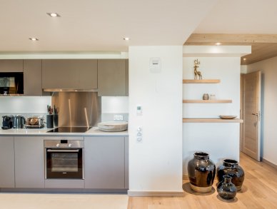 Апартаменты Mammoth Lodge D03 Куршевель 1650