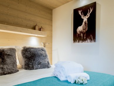Apartment Mammoth Lodge D08 Courchevel 1650
