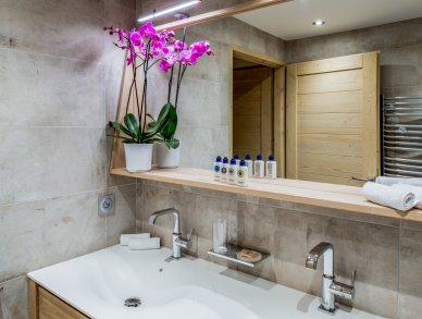 Apartment Mammoth Lodge D08 Courchevel 1650