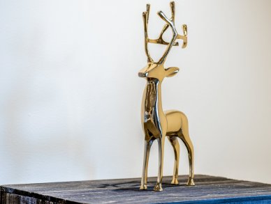 Apartment Mammoth Lodge D08 Courchevel 1650