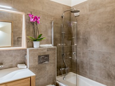 Apartment Mammoth Lodge D10 Courchevel 1650