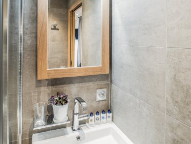 Apartment Mammoth Lodge D11 Courchevel 1650