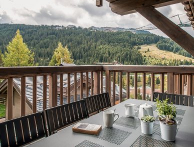 Apartment Mammoth Lodge D11 Courchevel 1650