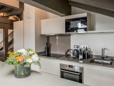 Penthouse Mammoth Lodge D13 Courchevel 1650