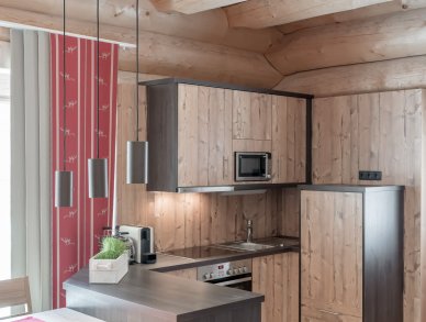 Шале Latschen Зёльден