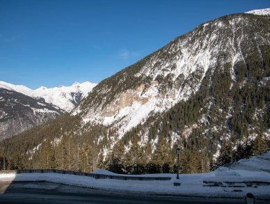 Апартаменты Gyala Куршевель 1650