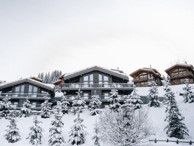 Chalet Allnatt Courchevel 1650