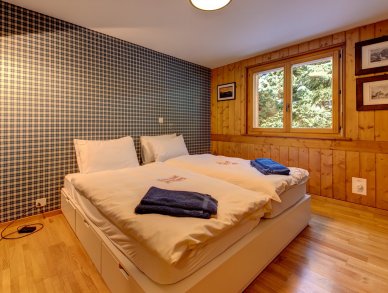 Apartment Aubepine Verbier