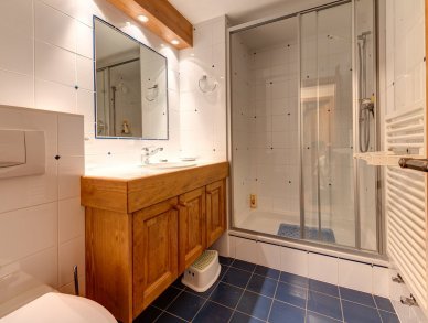 Apartment Aubepine Verbier