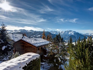 Apartment Aubepine Verbier