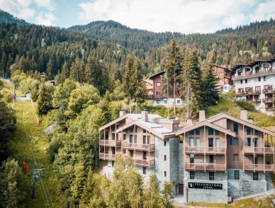 Chalet Yellowstone Lodge 3 La Tania