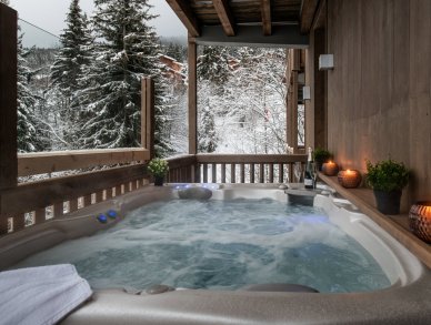 Chalet Yellowstone Lodge 2 La Tania