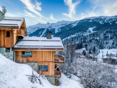 Chalet Appaloosa Méribel
