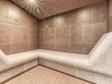 Chalet Silver Fox Saint-Gervais