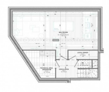 Шале Carcentina Куршевель 1550