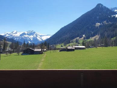 Appartement Farfalla Gstaad