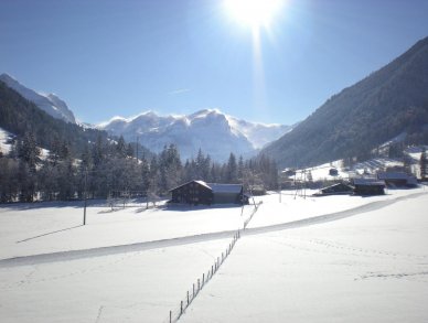 Appartement Farfalla Gstaad