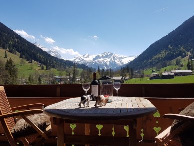 Appartement Farfalla Gstaad