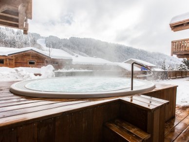 Шале Le Saint-Jean Ле же